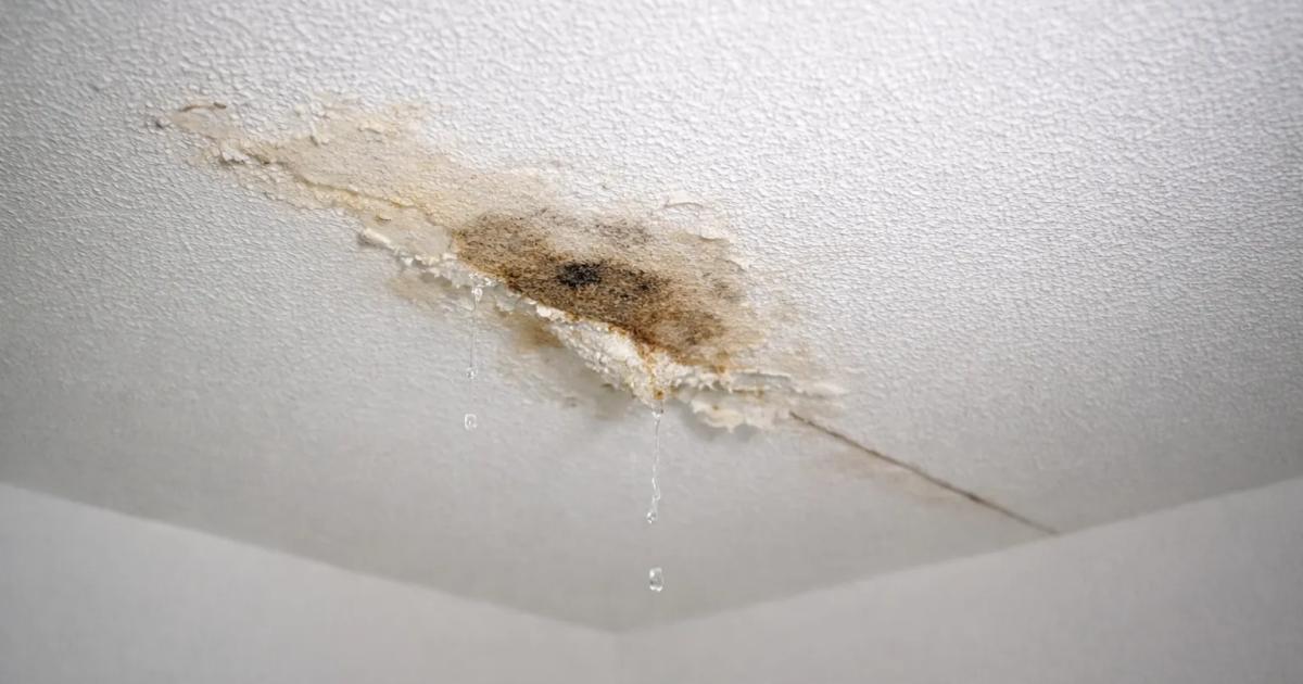 Lekkageplek zichtbaar op plafond woning in Roermond